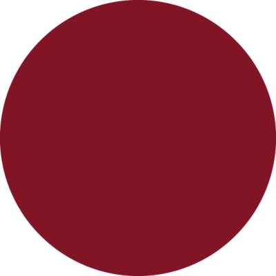 Red circle icon